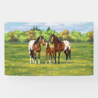 Brown Bay Appaloosa Horses In Summer Pasture Banner
