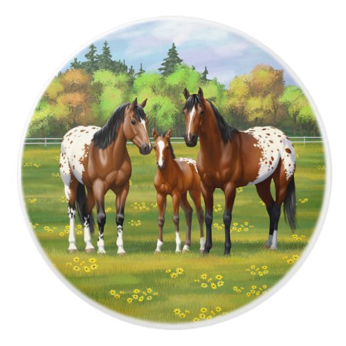 Brown Bay Appaloosa Horses In Summer Pasture Ceramic Knob