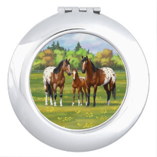 Brown Bay Appaloosa Horses In Summer Pasture Compact Mirror