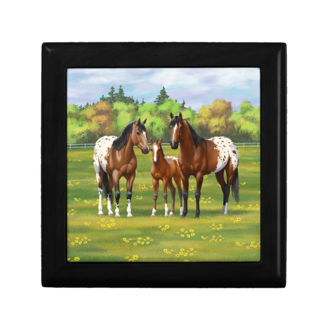 Brown Bay Appaloosa Horses In Summer Pasture Gift Box (Front)