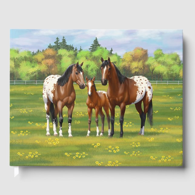 Brown Bay Appaloosa Horses In Summer Pasture Guest Book (Front)