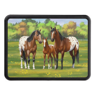 Brown Bay Appaloosa Horses In Summer Pasture Hitch Cover