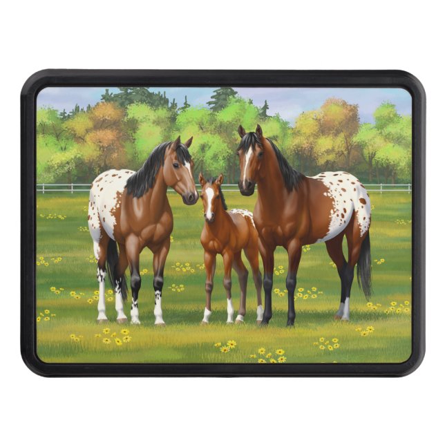 Brown Bay Appaloosa Horses In Summer Pasture Hitch Cover (Front)