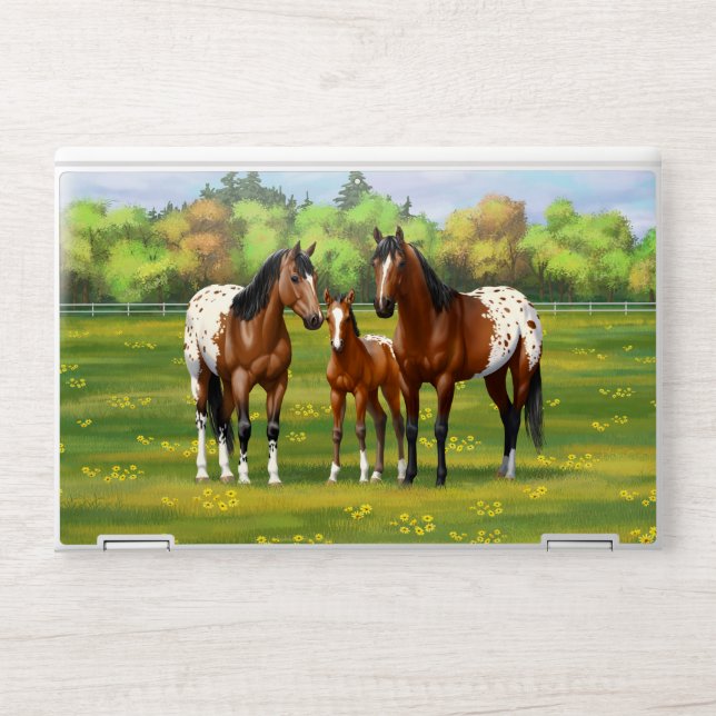 Brown Bay Appaloosa Horses In Summer Pasture HP Laptop Skin (Front)