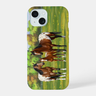 Brown Bay Appaloosa Horses In Summer Pasture iPhone 15 Case