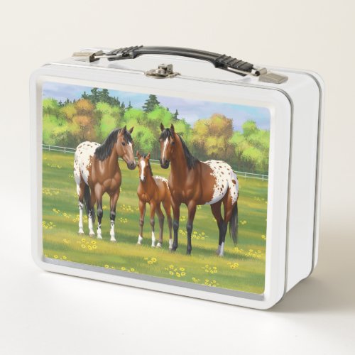 Brown Bay Appaloosa Horses In Summer Pasture Metal Lunch Box