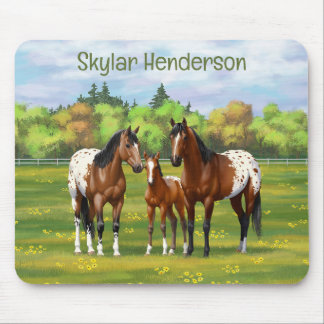 Brown Bay Appaloosa Horses In Summer Pasture Mouse Pad
