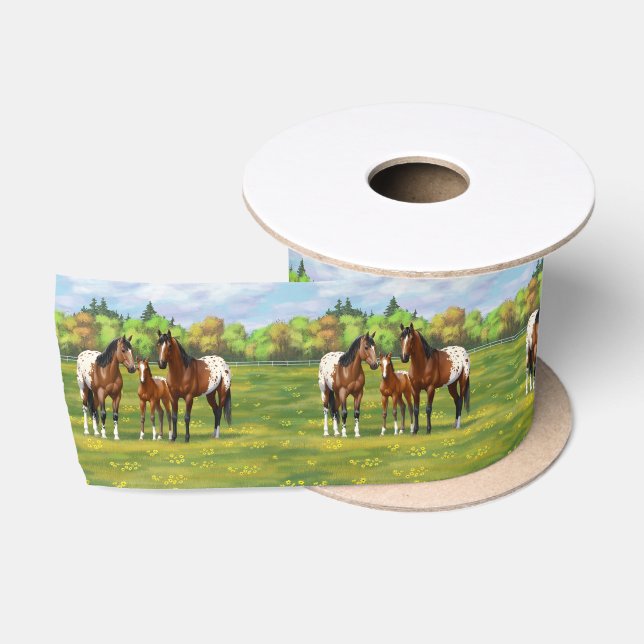 Brown Bay Appaloosa Horses In Summer Pasture Satin Ribbon (Spool)