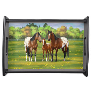 Brown Bay Appaloosa Horses In Summer Pasture Serving Tray
