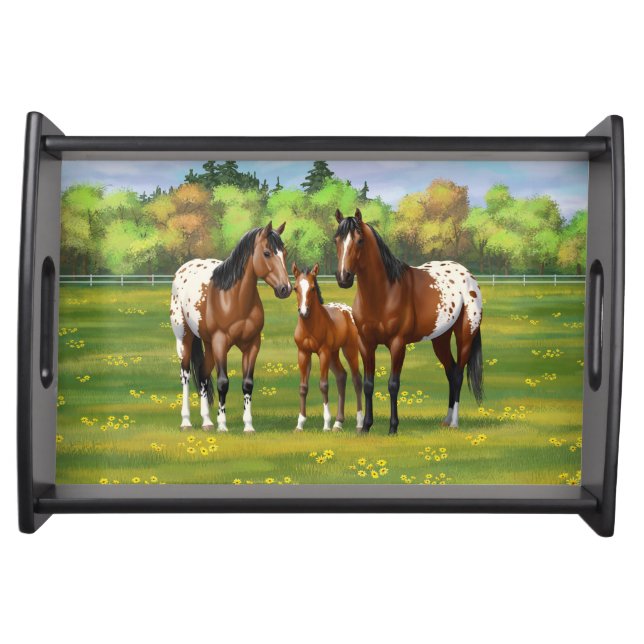 Brown Bay Appaloosa Horses In Summer Pasture Serving Tray (Front)