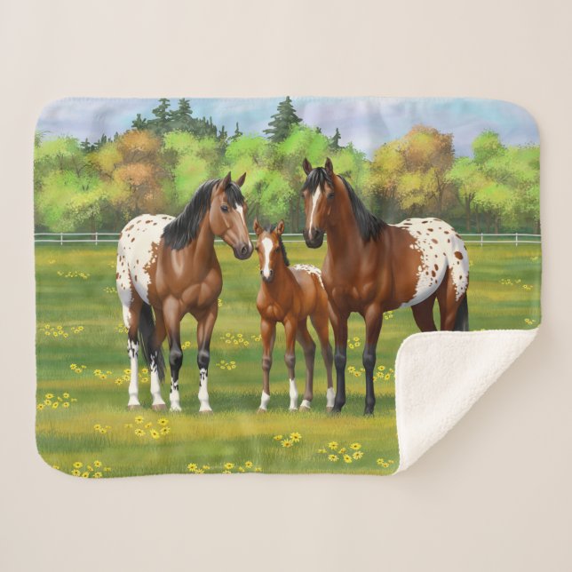 Brown Bay Appaloosa Horses In Summer Pasture Sherpa Blanket (Front (Horizontal))