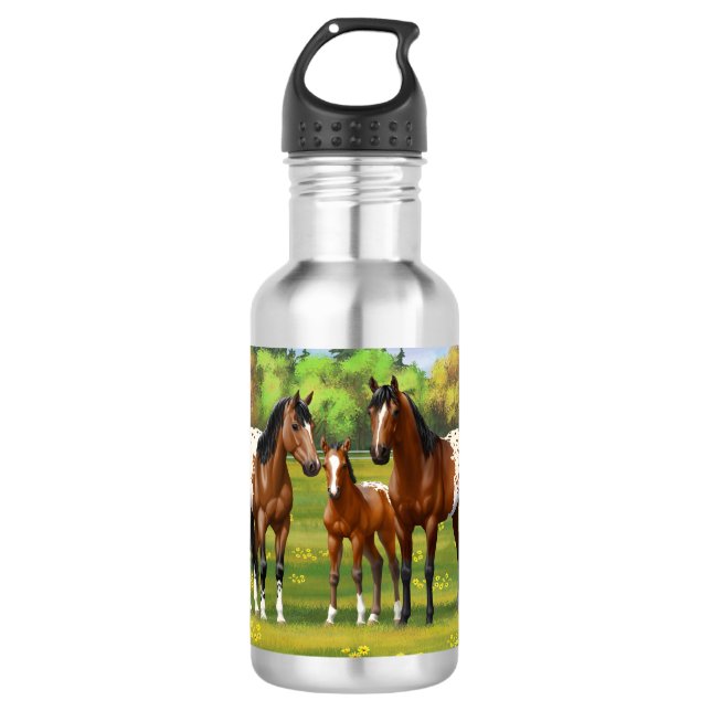 Brown Bay Appaloosa Horses In Summer Pasture Stainless Steel Water Bottle (Front)