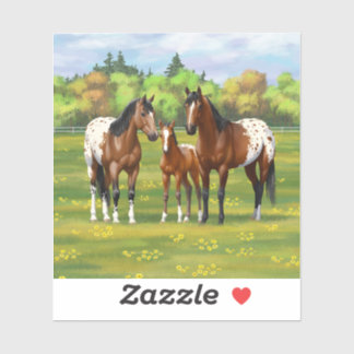 Brown Bay Appaloosa Horses In Summer Pasture Sticker
