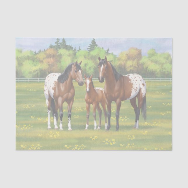 Brown Bay Appaloosa Horses In Summer Pasture Tissue Paper (Front)