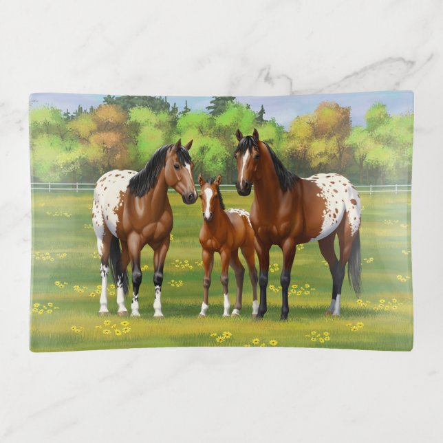 Brown Bay Appaloosa Horses In Summer Pasture Trinket Tray (Front)