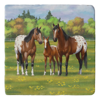 Brown Bay Appaloosa Horses In Summer Pasture Trivet