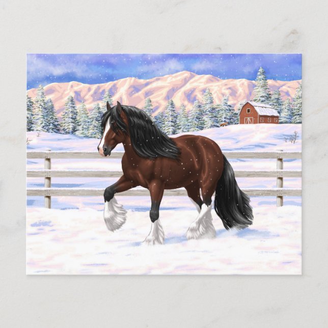 Brown Bay Gypsy Vanner Draft Horse In Snow (Front)