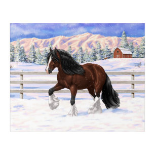 Brown Bay Gypsy Vanner Draft Horse In Snow Acrylic Print