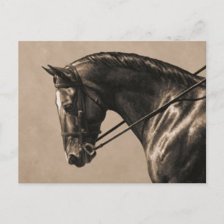 Brown Bay Oldenburg Horse Portrait Sepia Postcard