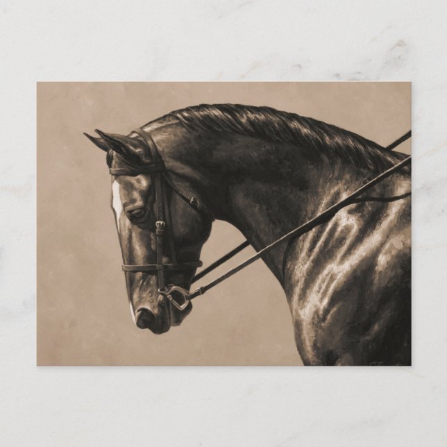 Brown Bay Oldenburg Horse Portrait Sepia Postcard (Front)