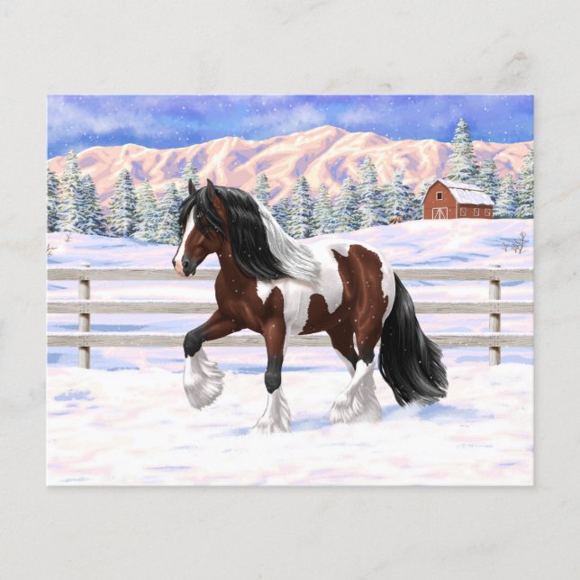 Brown Bay Pinto Gypsy Vanner Draft Horse In Snow (Front)