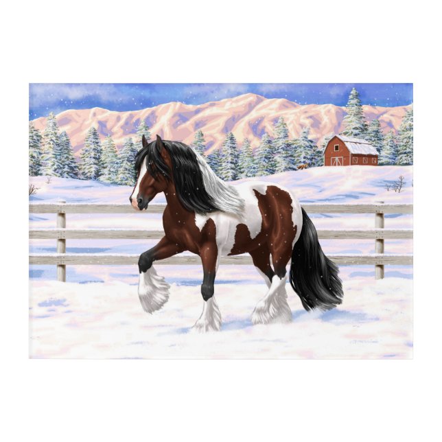Brown Bay Pinto Gypsy Vanner Draft Horse In Snow Acrylic Print (Front)