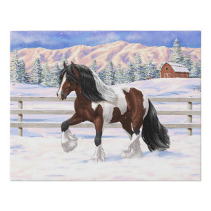 Brown Bay Pinto Gypsy Vanner Draft Horse In Snow Faux Canvas Print
