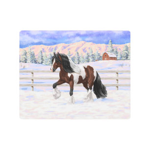 Brown Bay Pinto Gypsy Vanner Draft Horse In Snow Metal Print