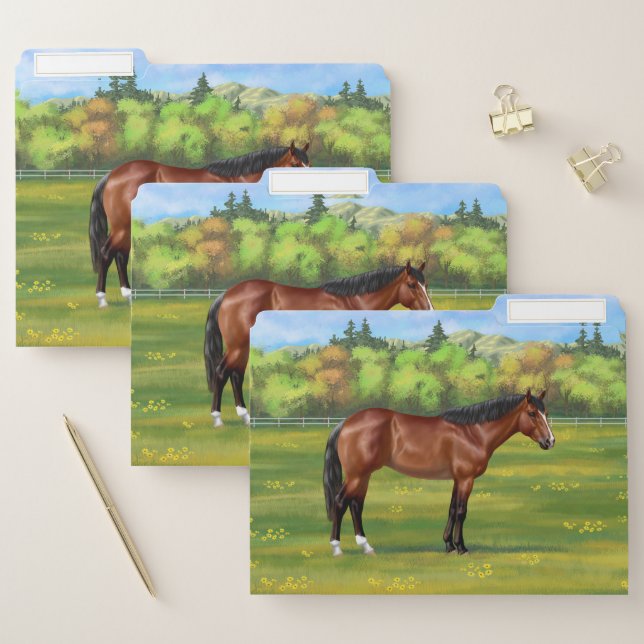 Brown Bay Quarter Horse File Folder (Set)