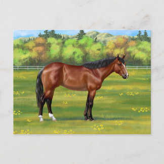 Brown Bay Quarter Horse Postcard