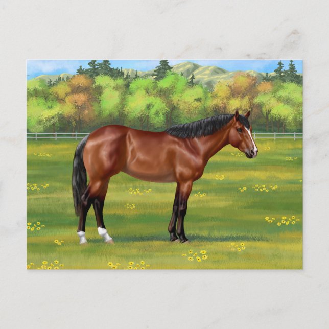 Brown Bay Quarter Horse Postcard (Front)