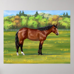 Brown Bay Quarter Horse Poster