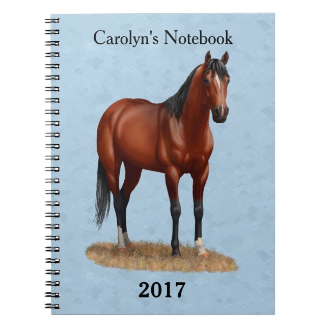 Brown Bay Quarter Horse Stallion Notebook (Front)