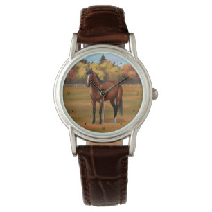 Brown Bay Quarter Horse Stallion Watch