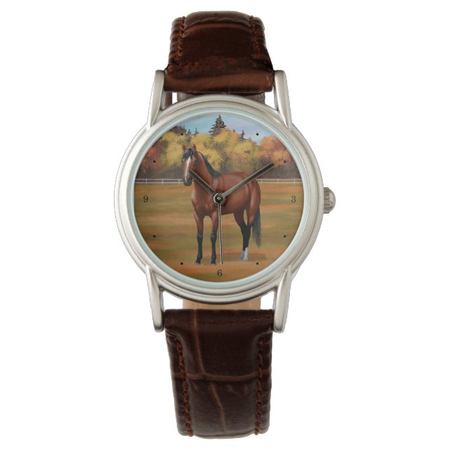 Brown Bay Quarter Horse Stallion Watch (Front)