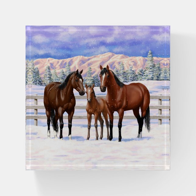Brown Bay Quarter Horses In Snow Paperweight (Front)