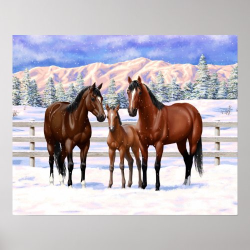 Brown Bay Quarter Horses In Snow Poster