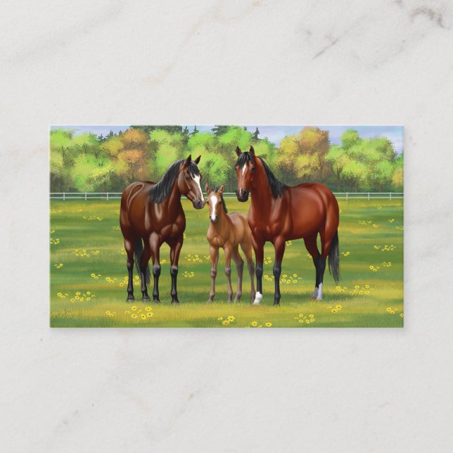 Brown Bay Quarter Horses In Summer Pasture Business Card (Front)