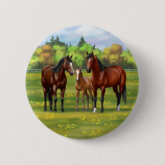 Brown Bay Quarter Horses In Summer Pasture Button