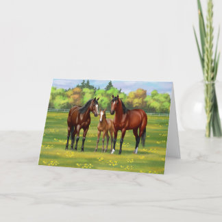 Brown Bay Quarter Horses In Summer Pasture Card