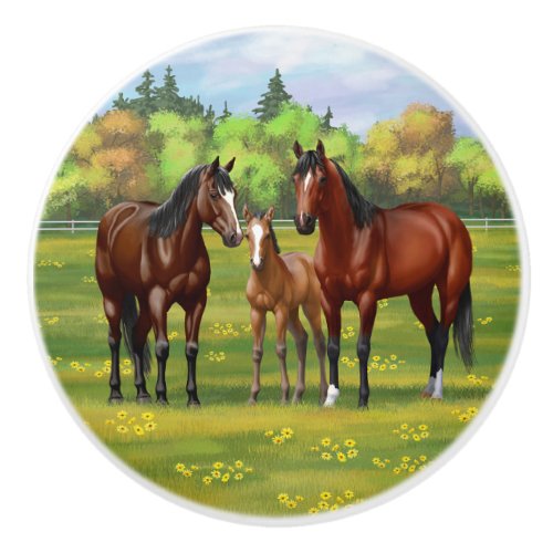 Brown Bay Quarter Horses In Summer Pasture Ceramic Knob