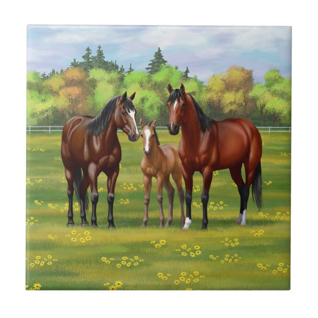 Brown Bay Quarter Horses In Summer Pasture Ceramic Tile (Front)