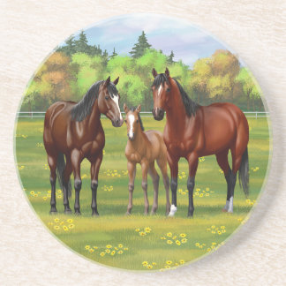 Brown Bay Quarter Horses In Summer Pasture Coaster