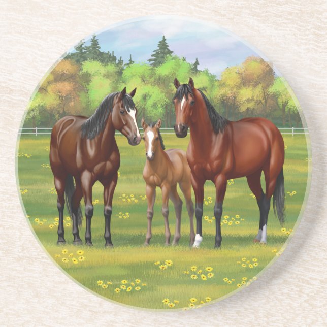 Brown Bay Quarter Horses In Summer Pasture Coaster (Front)