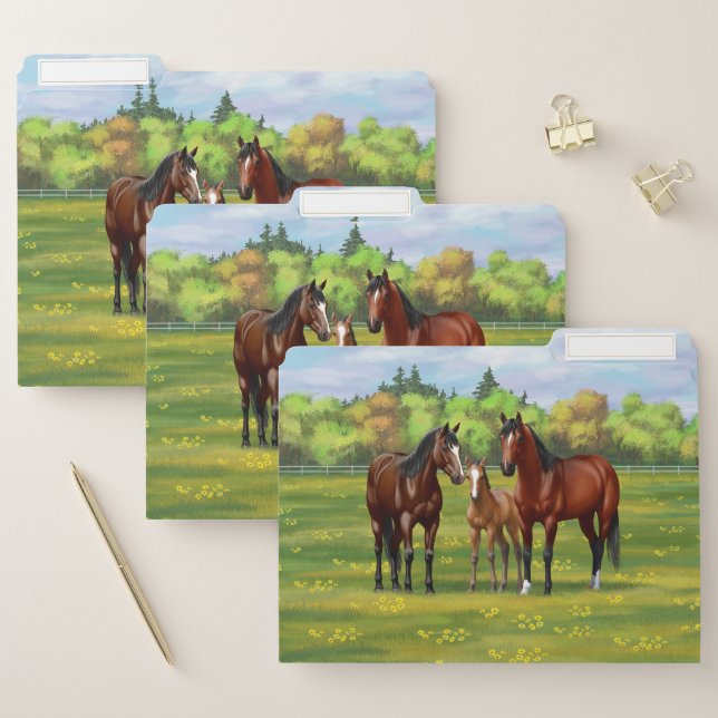 Brown Bay Quarter Horses In Summer Pasture File Folder (Set)