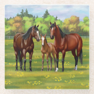Brown Bay Quarter Horses In Summer Pasture Glass Coaster