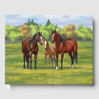 Brown Bay Quarter Horses In Summer Pasture Guest Book
