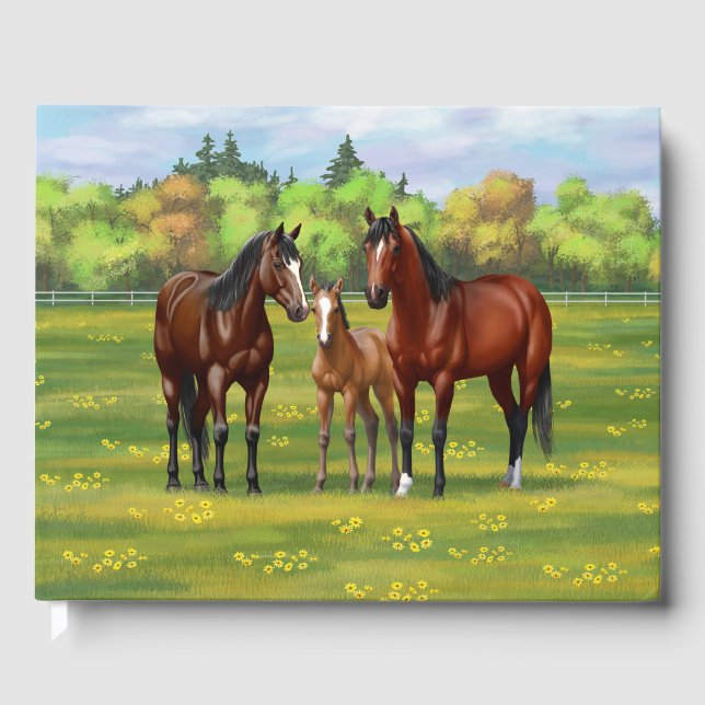 Brown Bay Quarter Horses In Summer Pasture Guest Book (Front)