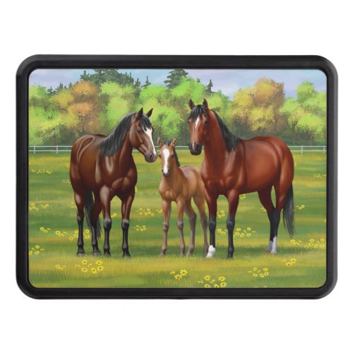 Brown Bay Quarter Horses In Summer Pasture Hitch Cover