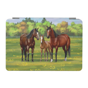 Brown Bay Quarter Horses In Summer Pasture iPad Mini Cover
